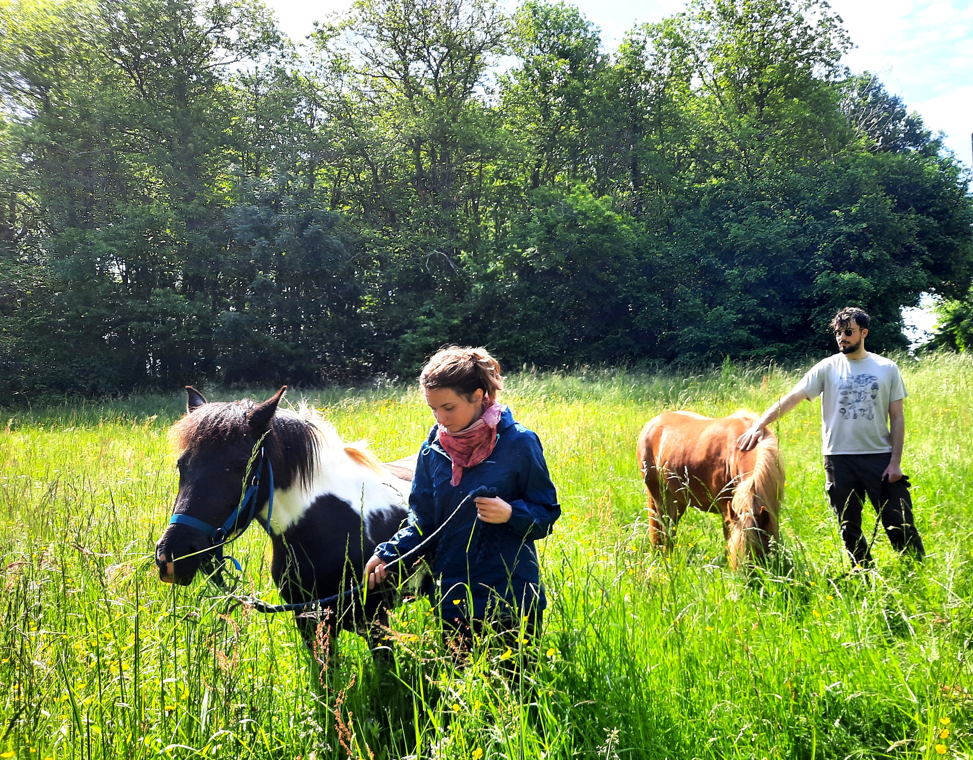 Gite L'Aventure